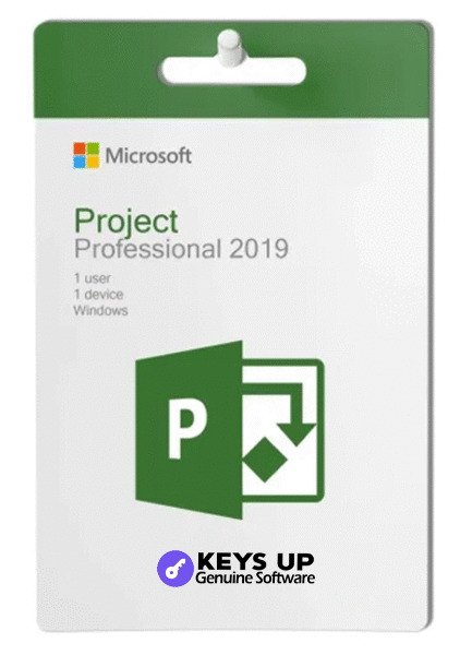 Microsoft Project Pro 2019