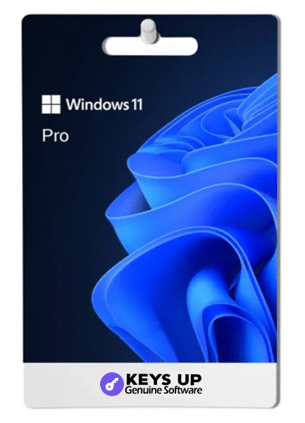 Windows 11 Pro - Lifetime License Key