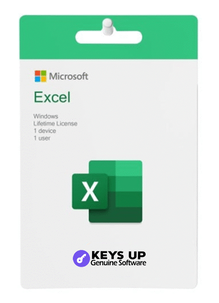 Microsoft Excel (Windows)