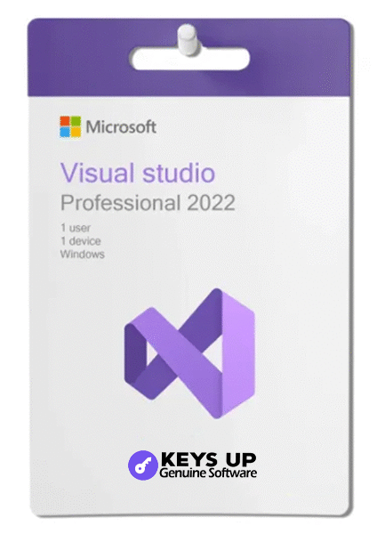 Microsoft Visual Studio Professional 2022